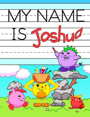 Book cover for My Name is Joshua