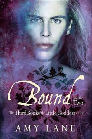 Cover of Bound, Vol. 2