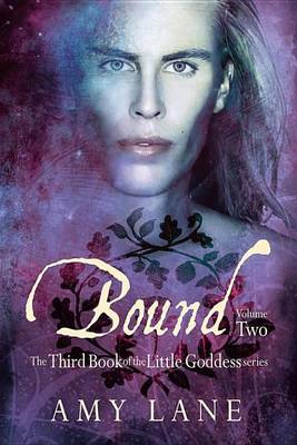 Book cover for Bound, Vol. 2