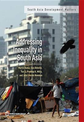 Book cover for Addressing Inequality in South Asia