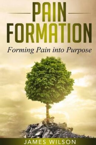 Cover of Pain Formation
