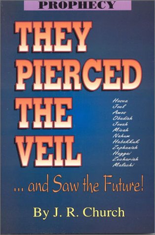 Book cover for They Pierced the Veil