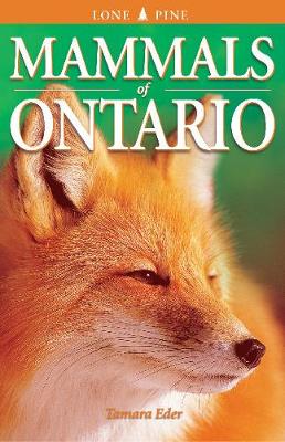 Book cover for Mammals of Ontario