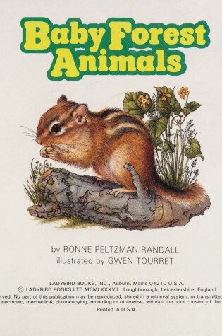 Cover of Baby Animals in-the Forest