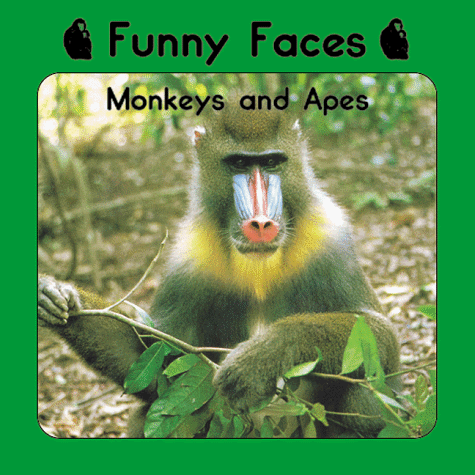 Book cover for Funny Faces