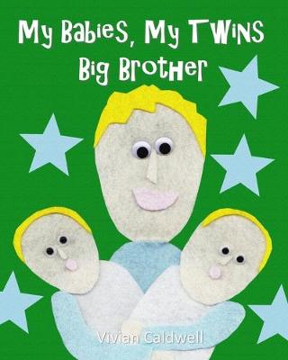Book cover for My Babies, My Twins Big Brother