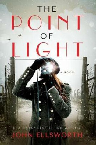 Cover of The Point of Light