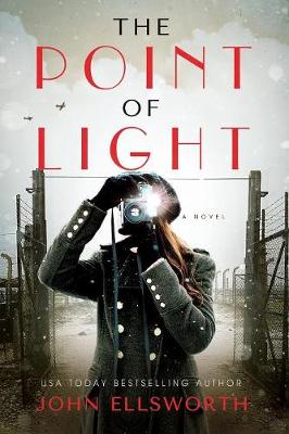 Cover of The Point of Light