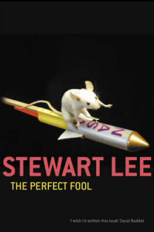 Cover of The Perfect Fool