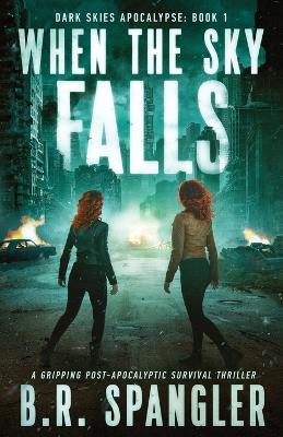 Book cover for When the Sky Falls