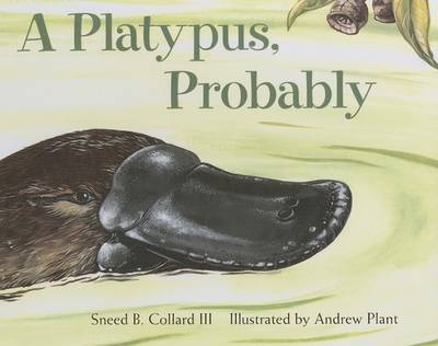 Book cover for A Platypus, Probably