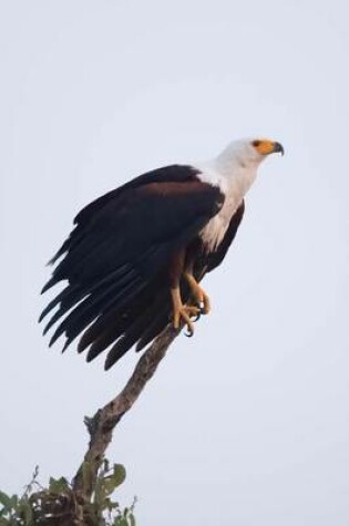 Cover of African Fish Eagle in a Tree Journal