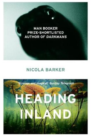 Cover of Heading Inland