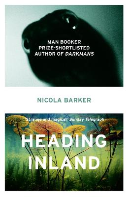Book cover for Heading Inland