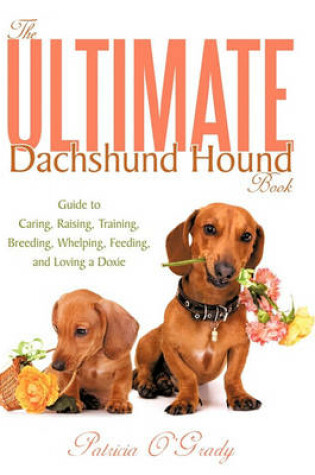 Cover of The Ultimate Dachshund Hound Book