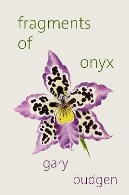 Book cover for Fragments of Onyx