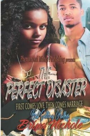 Cover of The Perfect Disaster