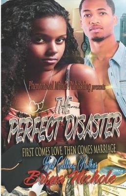 Book cover for The Perfect Disaster