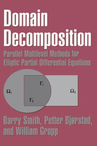 Cover of Domain Decomposition