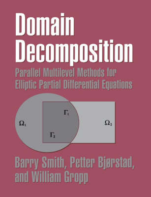 Book cover for Domain Decomposition