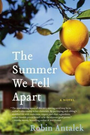 Cover of The Summer We Fell Apart