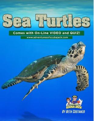 Book cover for Sea Turtles