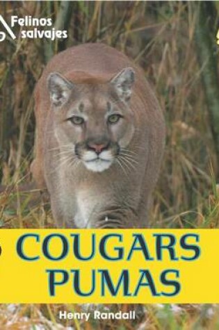 Cover of Cougars / Pumas