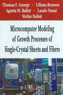 Book cover for Microcomputer Modeling of Growth Processes of Single-Crystal Sheets & Fibers