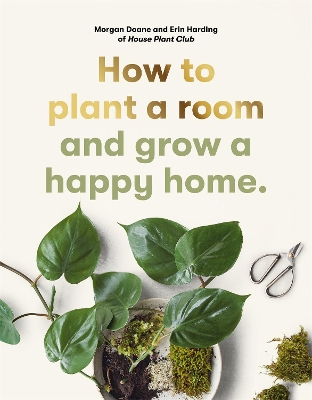 Book cover for How to plant a room