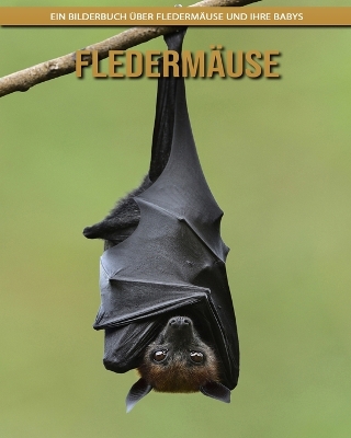 Book cover for Fledermäuse