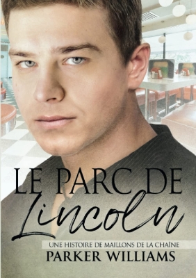 Book cover for parc de Lincoln