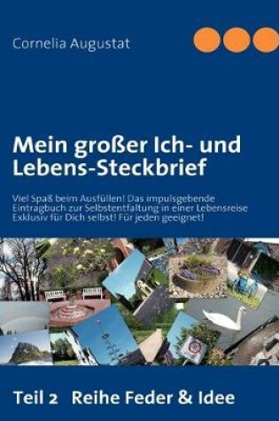 Cover of Mein grosser Ich- und Lebens-Steckbrief 2
