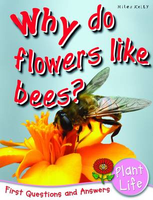 Book cover for First Q&A - Why Do Flowers Like Bees?