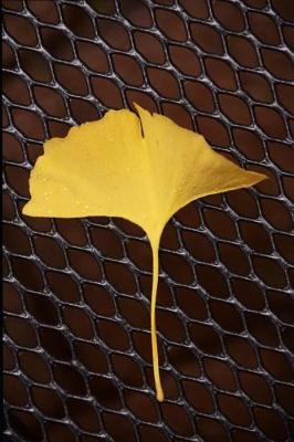 Book cover for Gingko Leaf on a Fence Journal