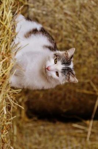 Cover of A Farm Cat Relaxing in a Barn