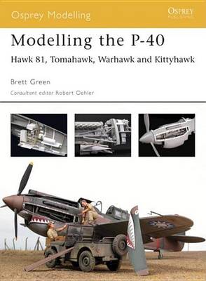 Book cover for Modelling the P-40