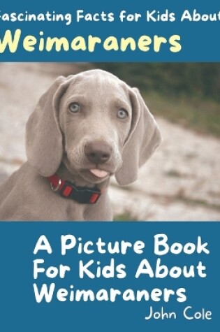 Cover of A Picture Book for Kids About Weimaraners