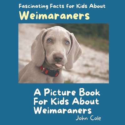Book cover for A Picture Book for Kids About Weimaraners