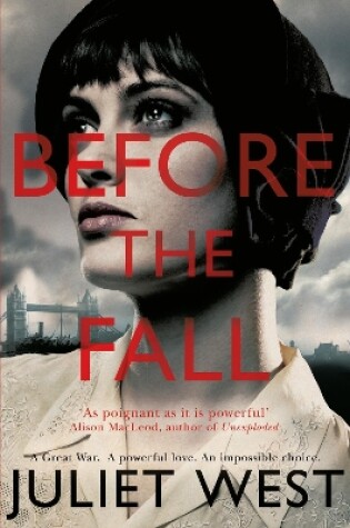 Cover of Before the Fall