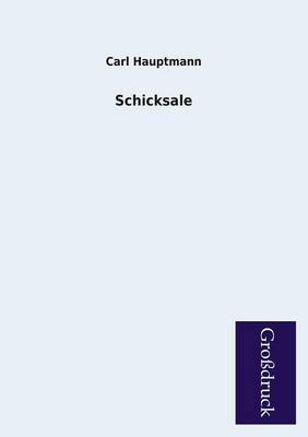 Book cover for Schicksale