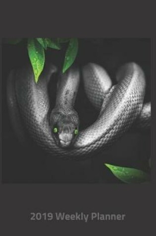 Cover of Plan on It 2019 Weekly Calendar Planner - Green Eyed Snake
