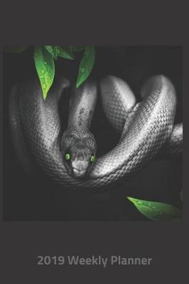 Book cover for Plan on It 2019 Weekly Calendar Planner - Green Eyed Snake