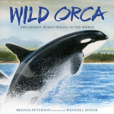 Book cover for Wild Orca