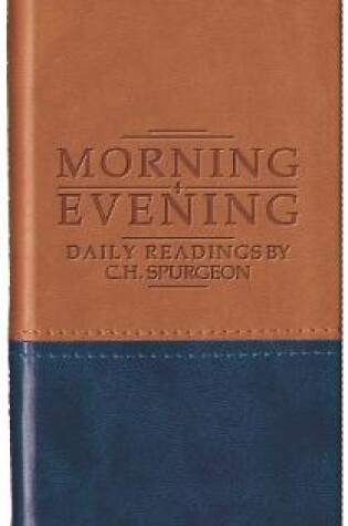 Cover of Morning and Evening - Matt Tan/Blue