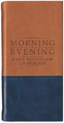 Book cover for Morning and Evening - Matt Tan/Blue