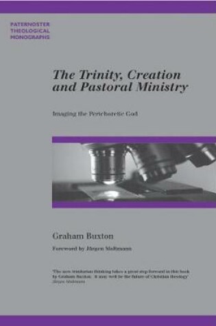 Cover of The Trinity, Creation and Pastoral Ministry