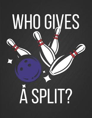 Book cover for Who Gives a Split