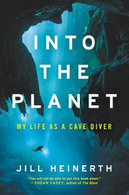 Book cover for Into the Planet