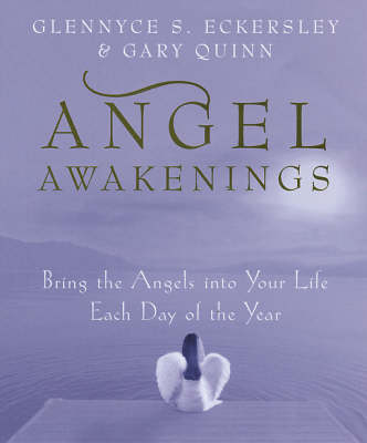 Book cover for Angel Awakenings