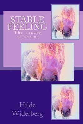 Book cover for Stable feeling